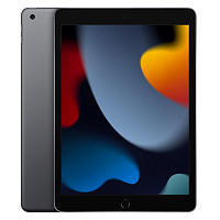 Apple iPad 10.2 Wi-Fi  64GB Gray